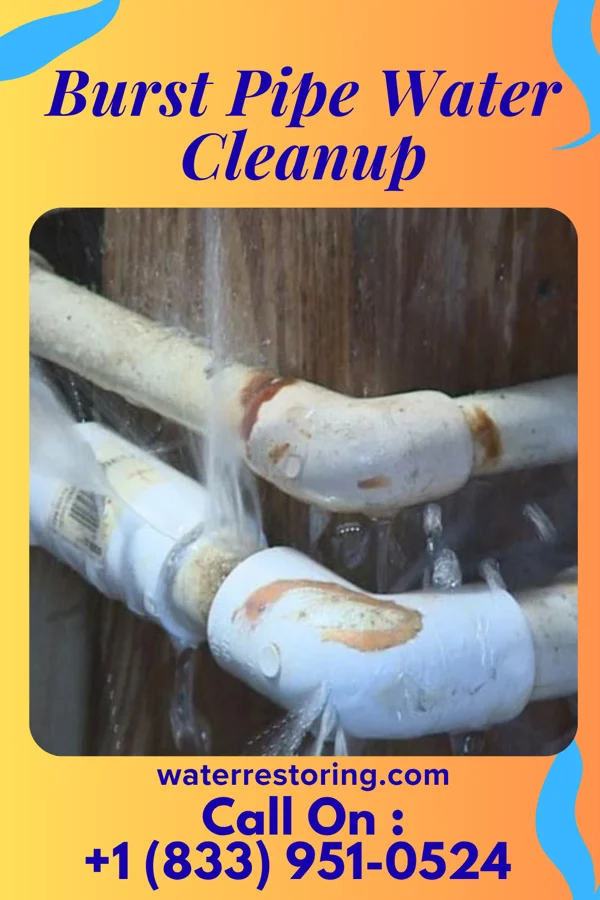 Burst Pipe Water Cleanup in Kings Point, NY
