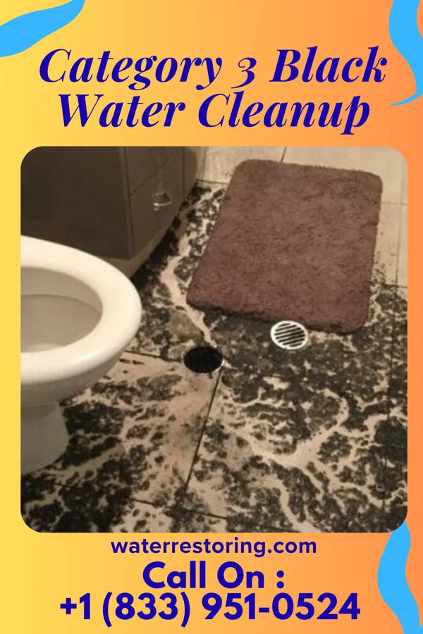 Category 3 Black Water Cleanup in Kings Point, NY