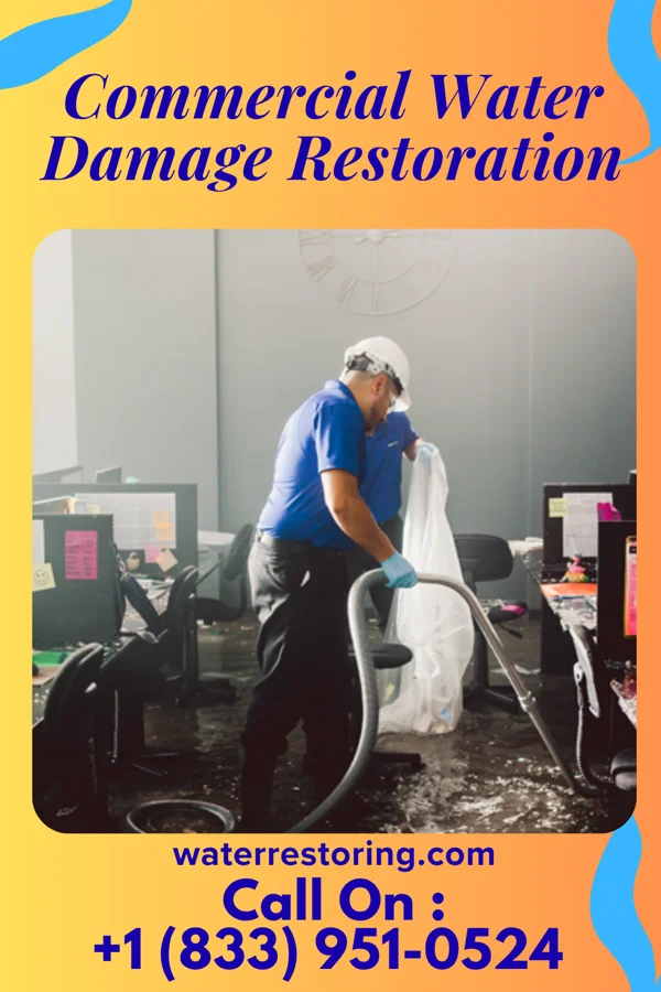 Commercial Water Damage Restoration in Kings Point, NY