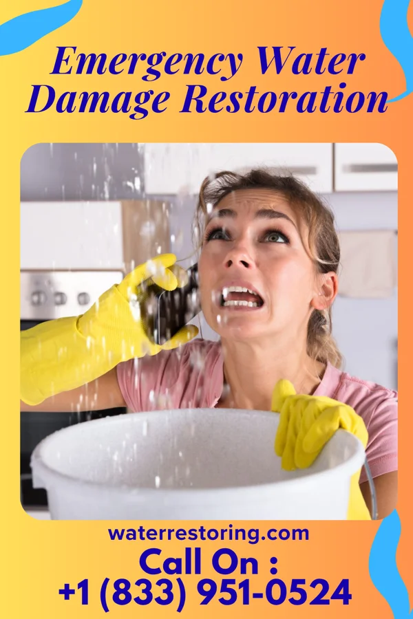 Emergency Water Damage Restoration in Kings Point, NY
