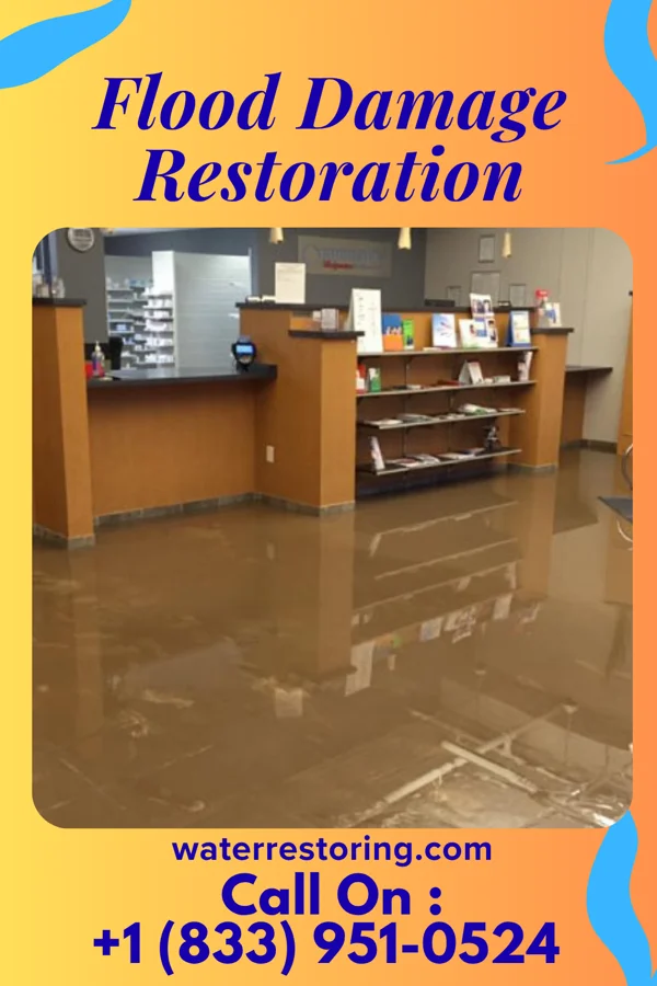 Flood Damage Restoration in Kings Point, NY