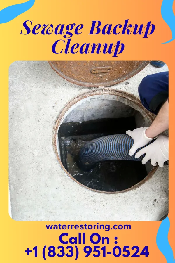 Sewage Backup Cleanup in Kings Point, NY