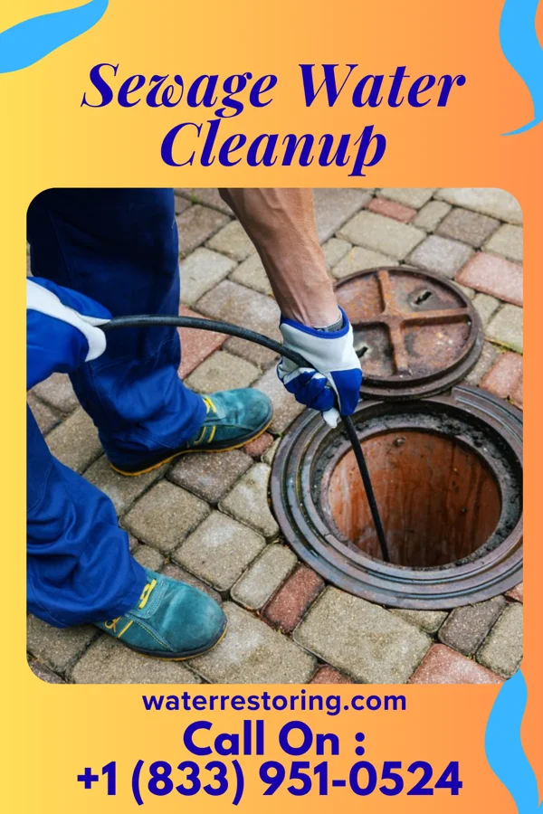 Sewage Water Cleanup in Kings Point, NY